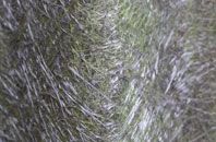 Hury fibreglass roof work